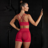 Seamless Solid Color High Stretch Sports Bra Lingerie Yoga Wear Set Running Fitness Exercise Shorts Two-Piece Set