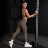 Seamless Solid Color High Stretch Sports Bra Lingerie Yoga Wear Set Running Fitness Exercise Shorts Two-Piece Set