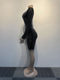Sexy Slim Beaded Bodycon Deep V See-Through Dress