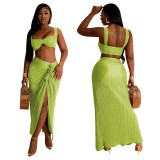 Pleated Sexy Low Back Camisole Top Split Pleated Skirt Set