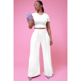 Women's Clothes Summer Fashionable Solid Color Wide Leg Two-Piece Pants Set