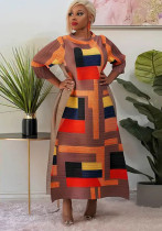 Ladies Round Neck Print Pleated Dress