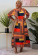 Ladies Round Neck Print Pleated Dress