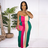 Ladies Fashion Digital Positioning Print Sexy Strapless Wide Leg Jumpsuit