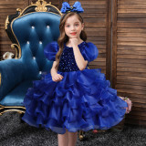 Girls Dress Princess Dress Puff Sleeve Sequins Puff Mesh Skirt Children's Day Dance Costume