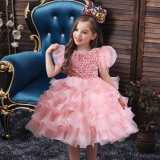 Girls Dress Princess Dress Puff Sleeve Sequins Puff Mesh Skirt Children's Day Dance Costume