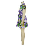 Women's Summer Sexy V-Neck Slim Waist Short Sleeve Printed Dress