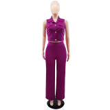 Solid turndown Collar Vest Casual High Waist Straight Leg Trousers Two-Piece Set