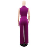 Solid turndown Collar Vest Casual High Waist Straight Leg Trousers Two-Piece Set