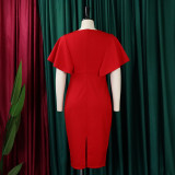 Chic Bodycon Professional Pencil Dress