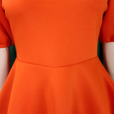 Women Round Neck Puff Sleeve Dress