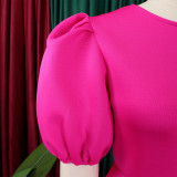 Women Round Neck Puff Sleeve Dress