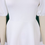 Women Round Neck Puff Sleeve Dress