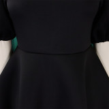 Women Round Neck Puff Sleeve Dress