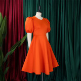 Women Round Neck Puff Sleeve Dress