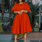 Women Round Neck Puff Sleeve Dress