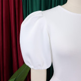 Women Round Neck Puff Sleeve Dress