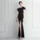 Mesh Beaded + Embellished Feather Star Red Carpet Long Evening Gown
