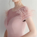 Mesh Beaded + Embellished Feather Star Red Carpet Long Evening Gown