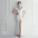 Mesh Beaded + Embellished Feather Star Red Carpet Long Evening Gown