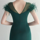 Mesh Beaded + Embellished Feather Star Red Carpet Long Evening Gown