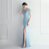 Mesh Beaded + Embellished Feather Star Red Carpet Long Evening Gown