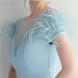 Mesh Beaded + Embellished Feather Star Red Carpet Long Evening Gown