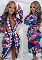 Women's Chic Career Long Sleeve Printed Slim Waist Casual Shirt Dress with Belt Women's Chic Career Long Sleeve Printed Slim Waist Casual Shirt Dress with Belt