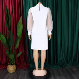 Plus Size African Women Mesh Sleeve Beaded Dress