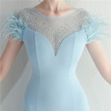 Mesh Beaded + Embellished Feather Star Red Carpet Long Evening Gown