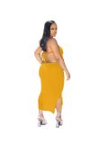 Women Sexy Wrap Backless Backless Crop Top and Skirt Two-Piece Set
