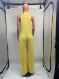 Women Solid Wide Leg Sleeveless Jumpsuit