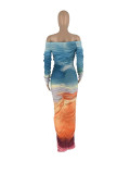 Women's Mesh Print Dress