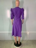 Women's Elegant Short Sleeve Ladies Dress