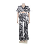 Sexy zebra print bootcut two-piece trouser suit