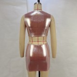 Women Summer Metallic Shiny Solid Round Neck Sleeveless Crop Top Bodycon Skirt Two-Piece Set
