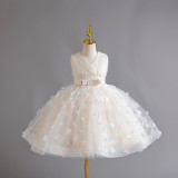 Girls Summer Mesh Princess Dress Butterfly Embroidery Mesh Dress Children's Flower Girl Show Dress