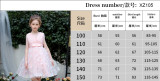 Girls Summer Mesh Princess Dress Butterfly Embroidery Mesh Dress Children's Flower Girl Show Dress