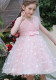Girls Summer Mesh Princess Dress Butterfly Embroidery Mesh Dress Children's Flower Girl Show Dress