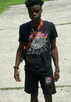 Plus Size Printed T-shirt Set Casual Sleeve Shorts Set