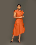Trendy Shirt Collar Irregular Ruffle Edge Swing Dress