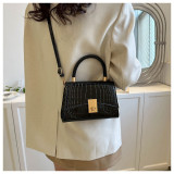 Popular Winter Retro Small Bag Women's Casual Textured Shoulder Messenger Bag
