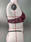 sexy leopard print 2 piece plus size bra set