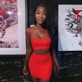 Sexy Camisole Ruched Bodycon Skirt Two-Piece Set For Women