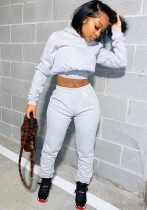 Women Fall/Winter Solid Hoodies and Pant Sport Two-Piece Set Women Fall/Winter Solid Hoodies and Pant Sport Two-Piece Set