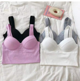 Solid Color Cotton 3D Fixed Cup Chest Pad Wrapped Chest Tank Top Ladies Sexy Sports Outdoor Wear Basic Bra Underwear