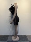 See-Through Slim Feather Beaded Sleeveless Strapless Bodycon Dress