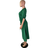 Ladies Elegant Casual Plus Size Dress