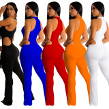 Women Solid Sexy Halter Neck Cutout Jumpsuit