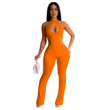 Women Solid Sexy Halter Neck Cutout Jumpsuit
